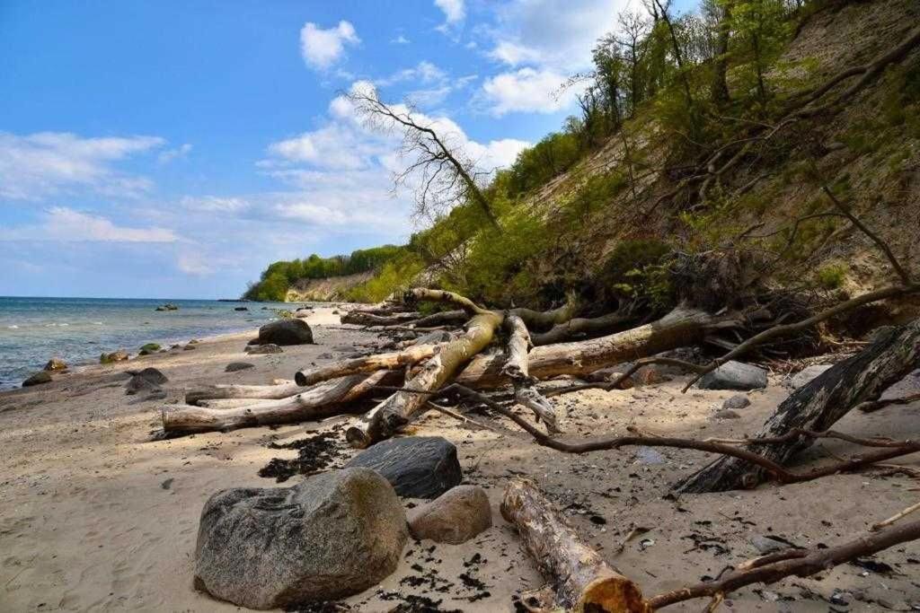 Вілла Familienfreundliches Reetdachhaus Weissdorn 2 Puddemin Екстер'єр фото